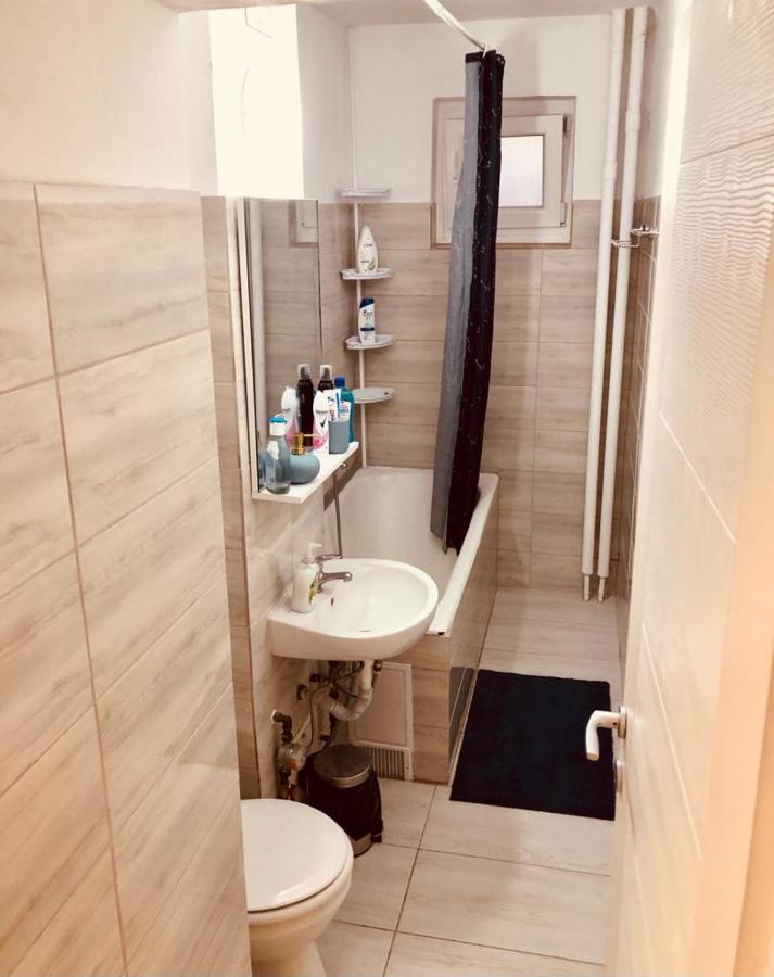 Apartment Modern With Need M7 Timisoara